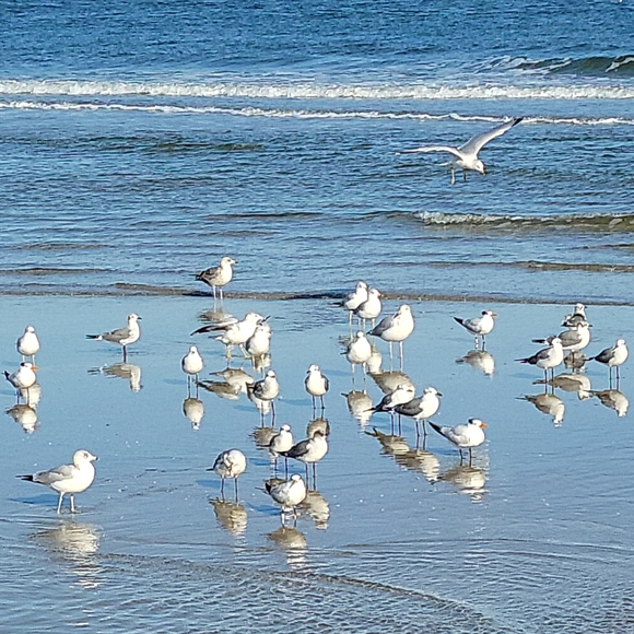 Meet your Posher, Stan - Picture 13 of 17